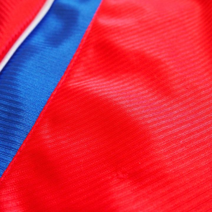 Close-up of red and blue woven fabric texture